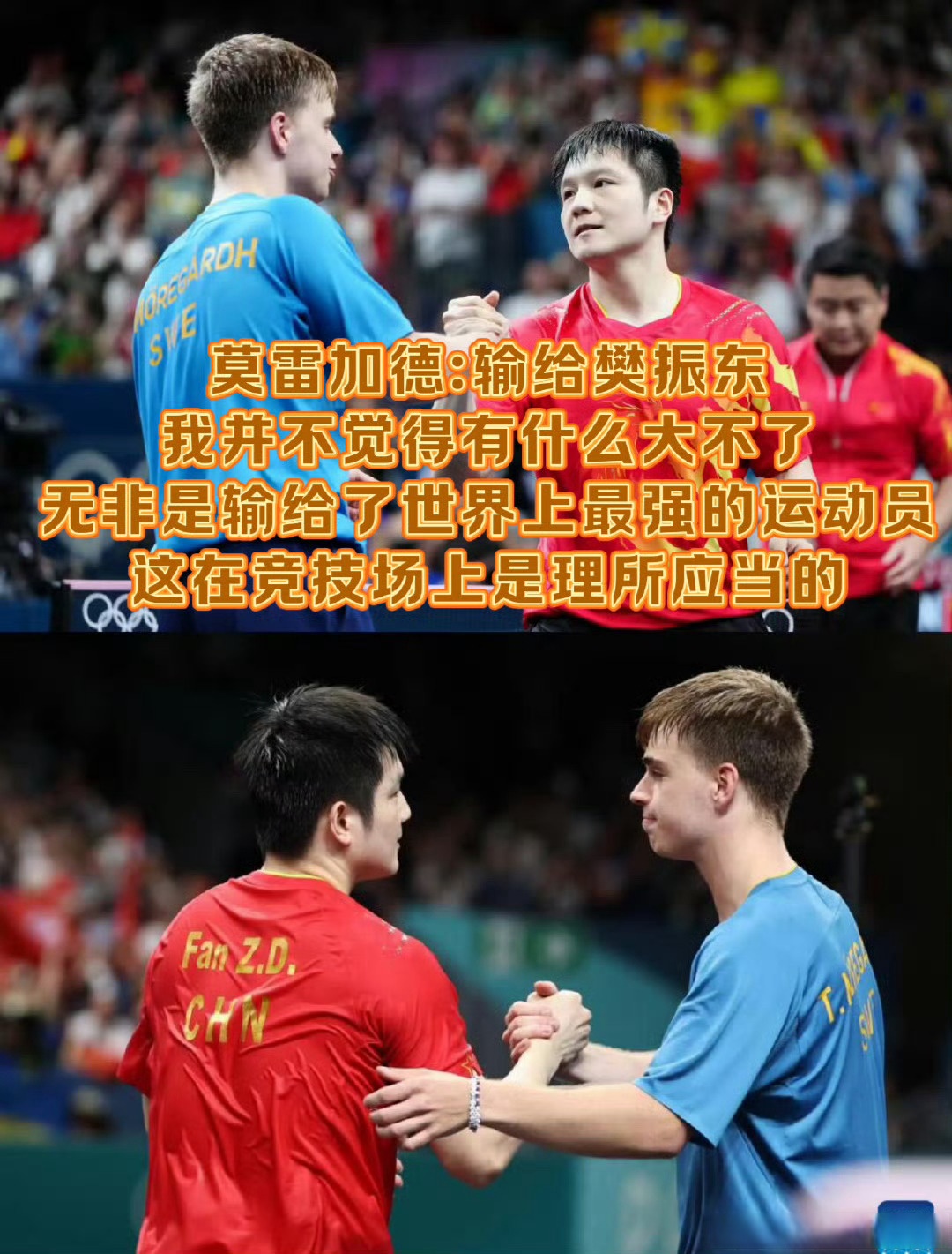 中国队横扫德国队，樊振东带队取胜