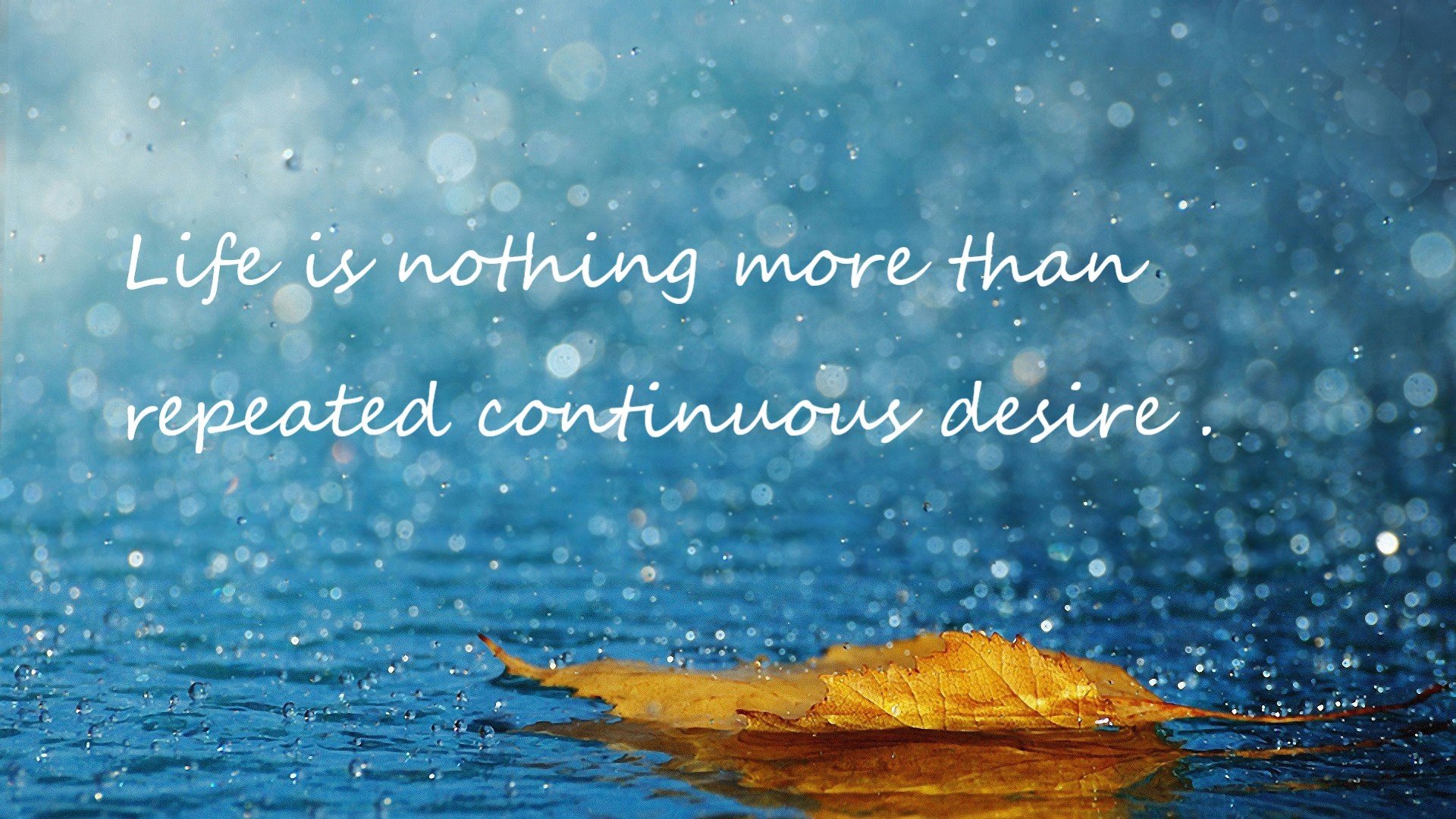 北境风暴席卷非洲雄鹰，日本边锋三笘薰化身黄潜奇迹引路人