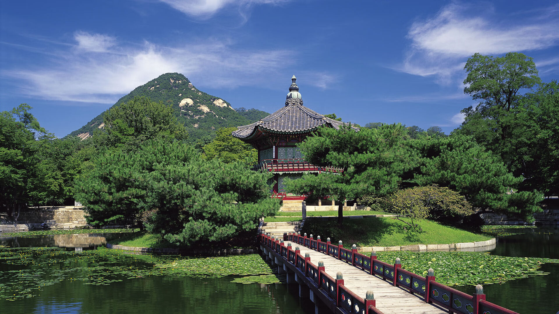 绿茵交响诗，李刚仁一肩担起韩国脊梁，喀麦隆韵律如何爱尔兰了比赛？