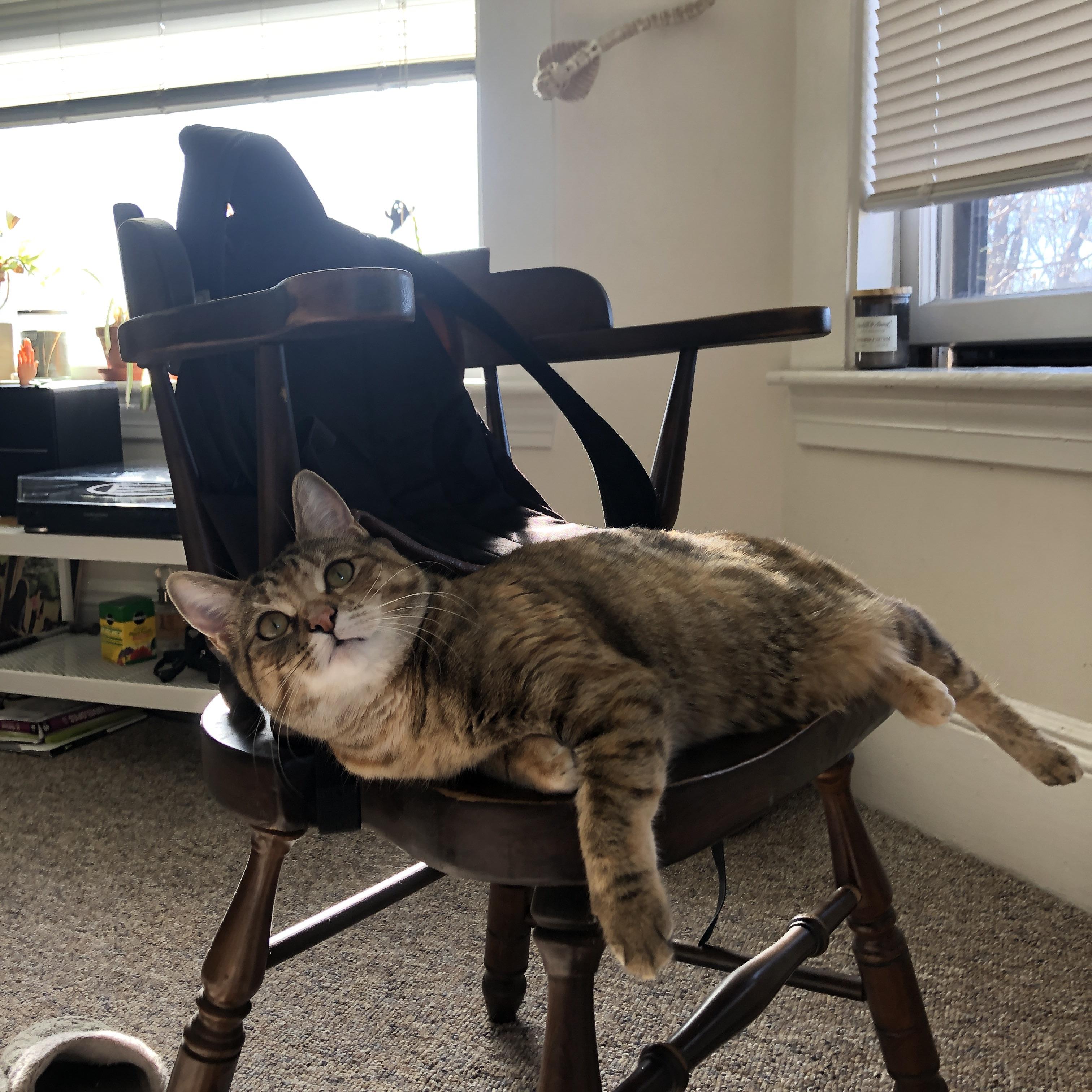 一球定江山！霍勒迪加时绝命三分演绎大心脏 跨越联赛的梦幻对决，广厦鏖战五局力克热火，韧性诠释胜利真谛