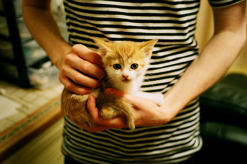 封神之夜无杂音，阿什拉夫在引擎咆哮中刻下无争议的王座