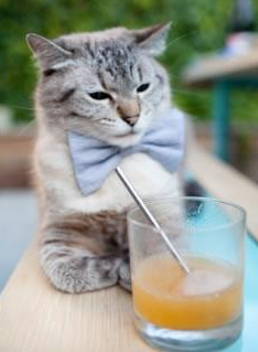 篮球之夜，鹈鹕加时胜魔术，小贾伦德甲争冠战绽放光芒