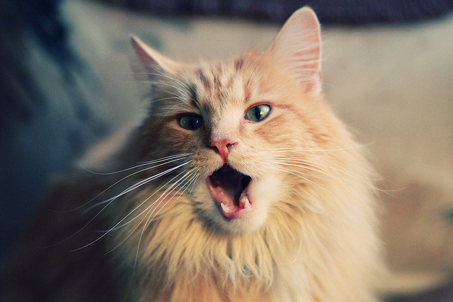 当天才爆发遇上豪门爆冷，体育世界没有永恒定律