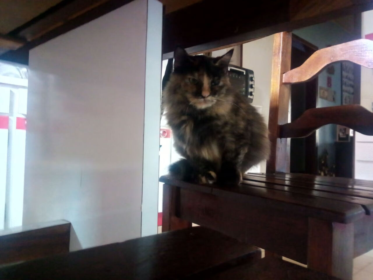 一节神威与另类铁卫，德里赫特的唯一钥匙，解锁马竞式胜利