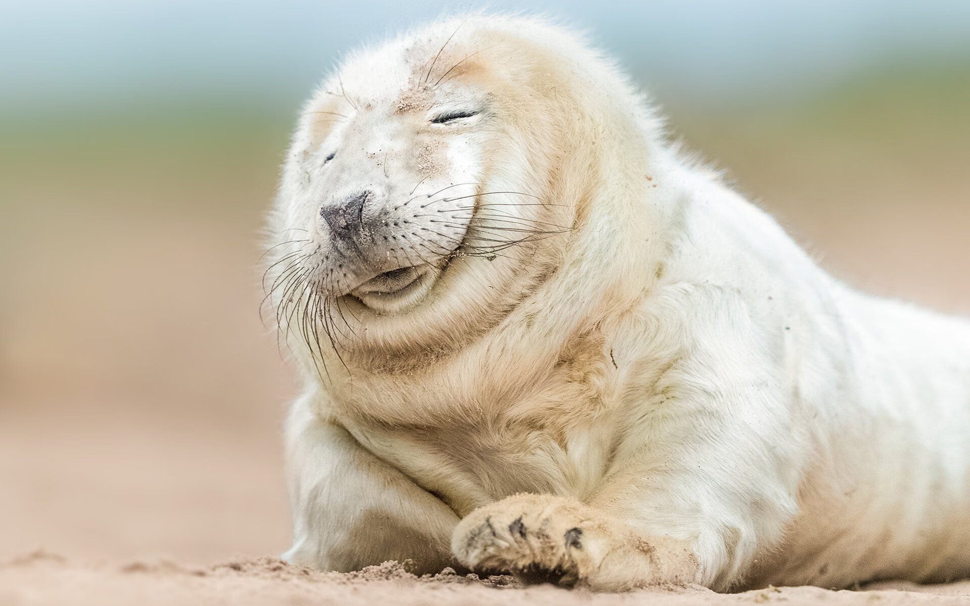 法比尼奥核心闪耀，土耳其战术铁幕完封牙买加