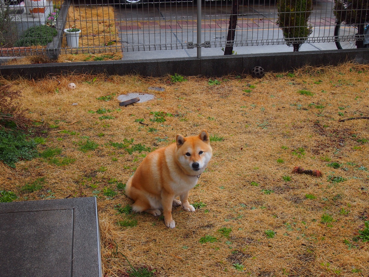 冰与火的交响，布雷默导演芬兰逆袭西班牙的北欧神话