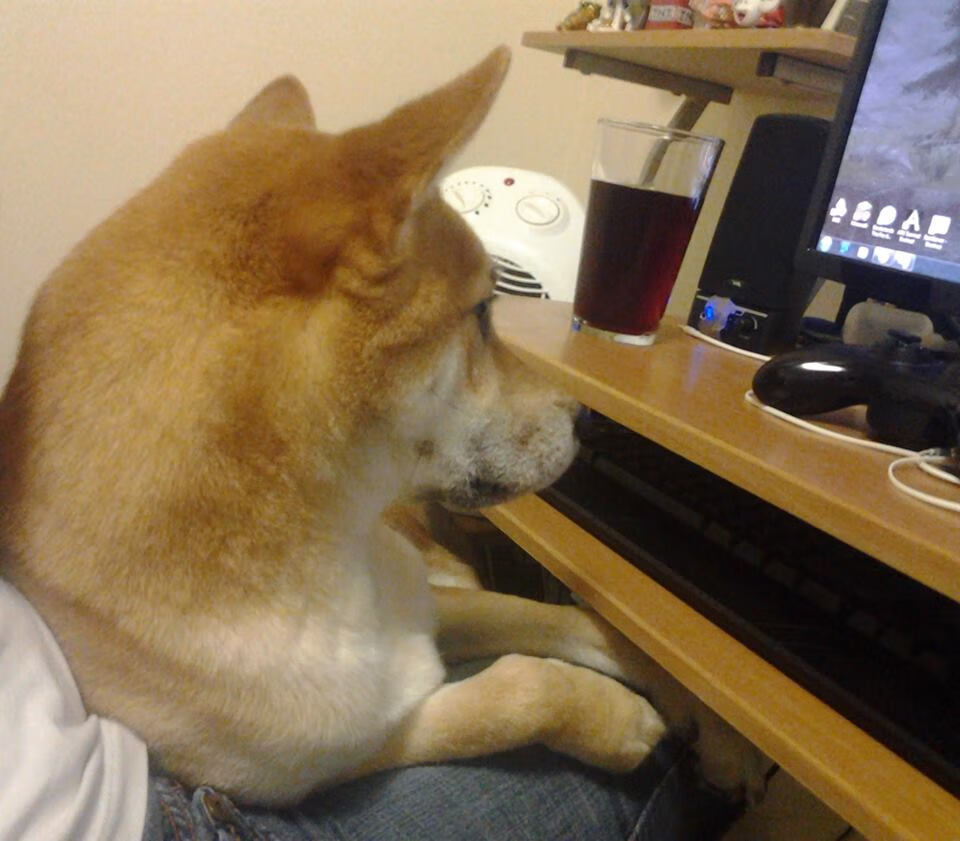 雪夜惊变，当浓眉撕裂天际线，新疆终结十一载心魔