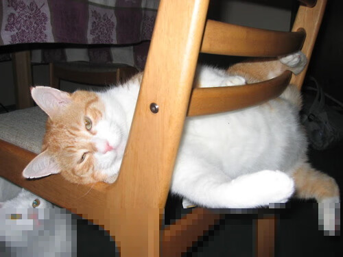 北非风暴卷碎蓝色巨舰，努涅斯暗夜独舞点亮红军—足球的戏剧性从不缺少新脚本