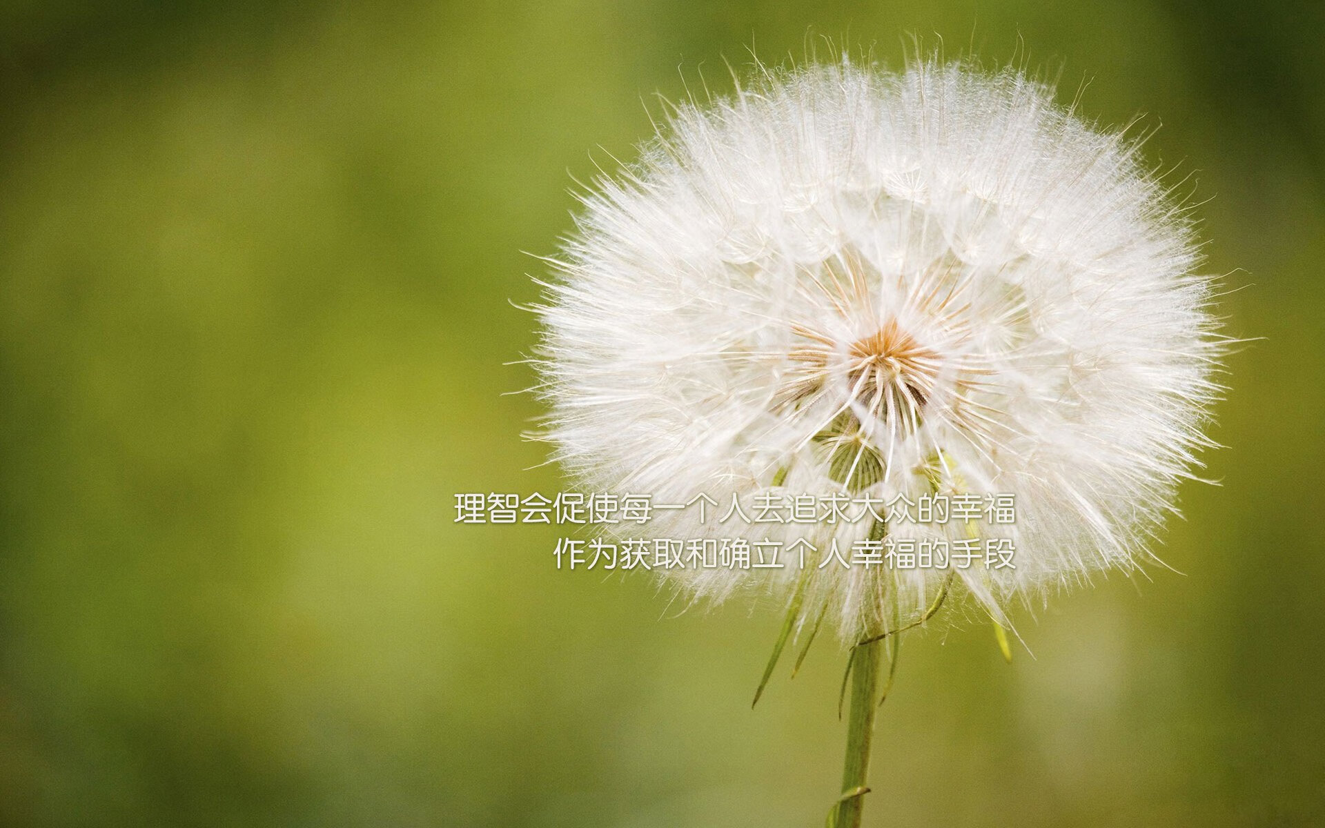 唯一主角，福登与智利队的梦幻合奏—2026世界杯A组焦点战纪实