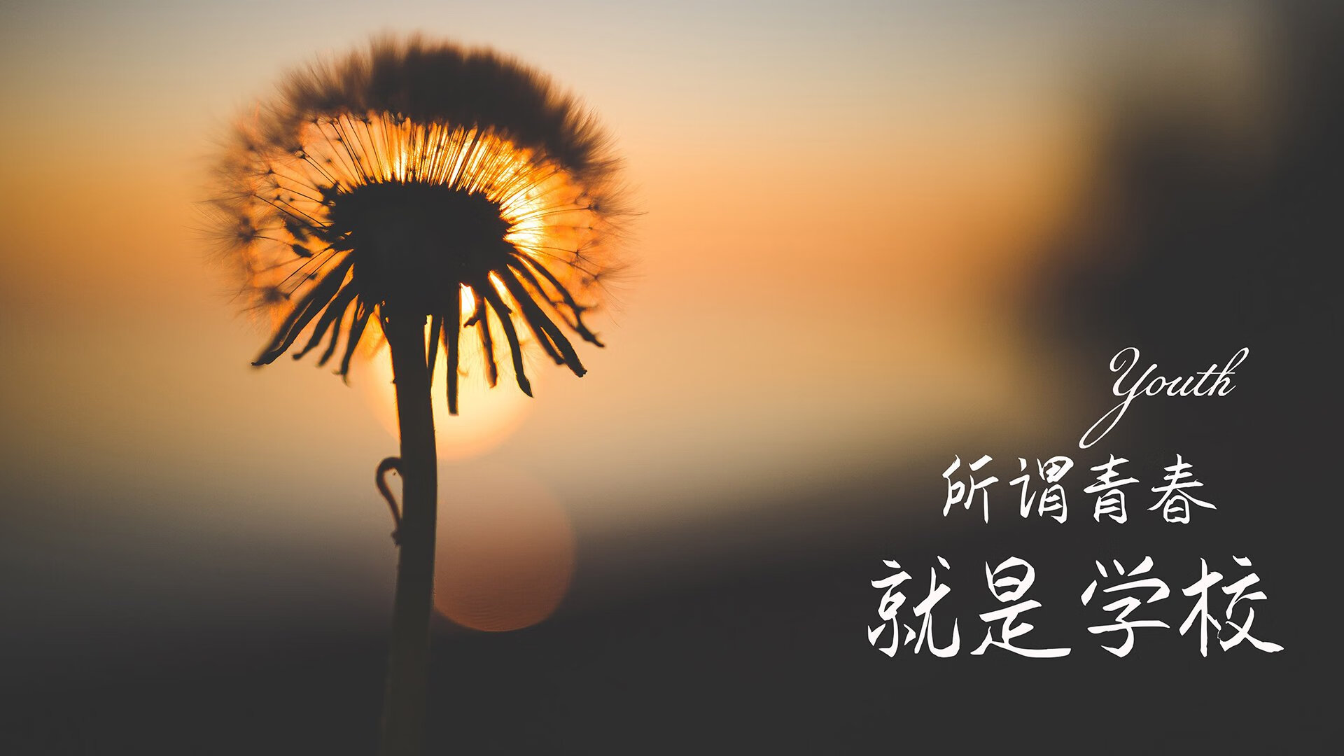 北极光下的桑巴之舞,当内马尔的唯一绝杀,为北欧战记写下不朽诗篇