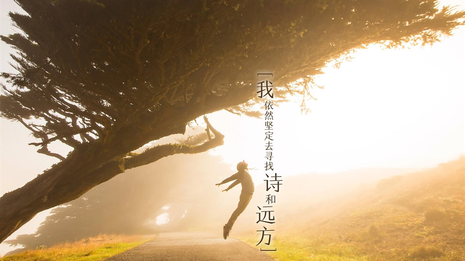 王朝序章,福登美梦成真,补时绝杀匈牙利,全场压制铸就2026世界杯F组唯一神话