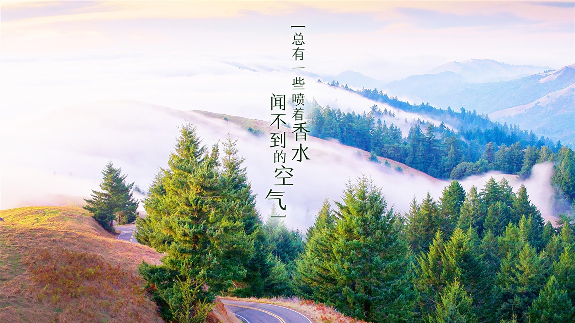 高卢雄鸡的绝命回响,格列兹曼的金球时刻,如何将荷兰的钢铁防线撕成逆转史诗