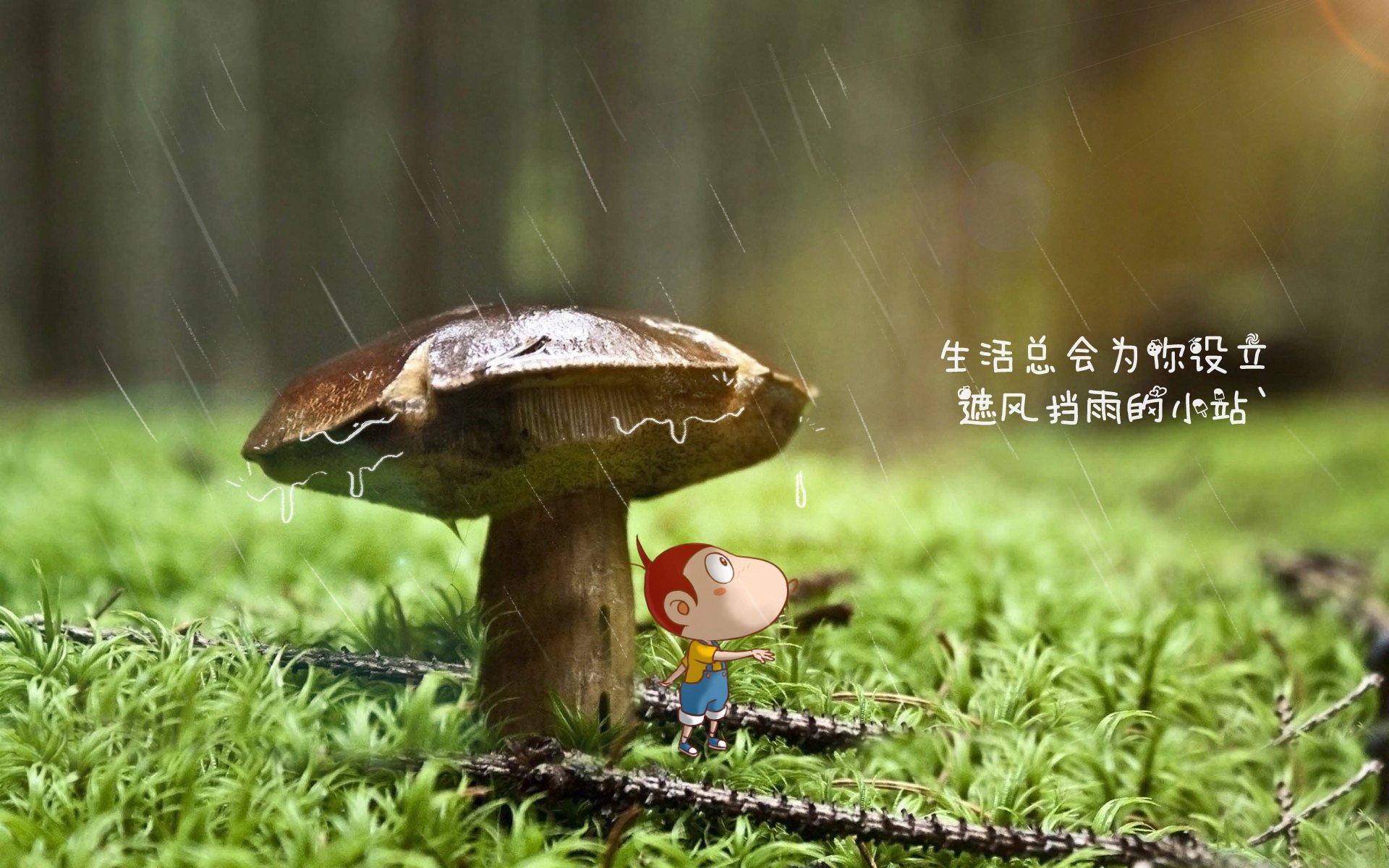 双重镜像，2026世界杯的宿命轮回，姆巴佩在荷兰与罗马尼亚的历史重演中写下新章