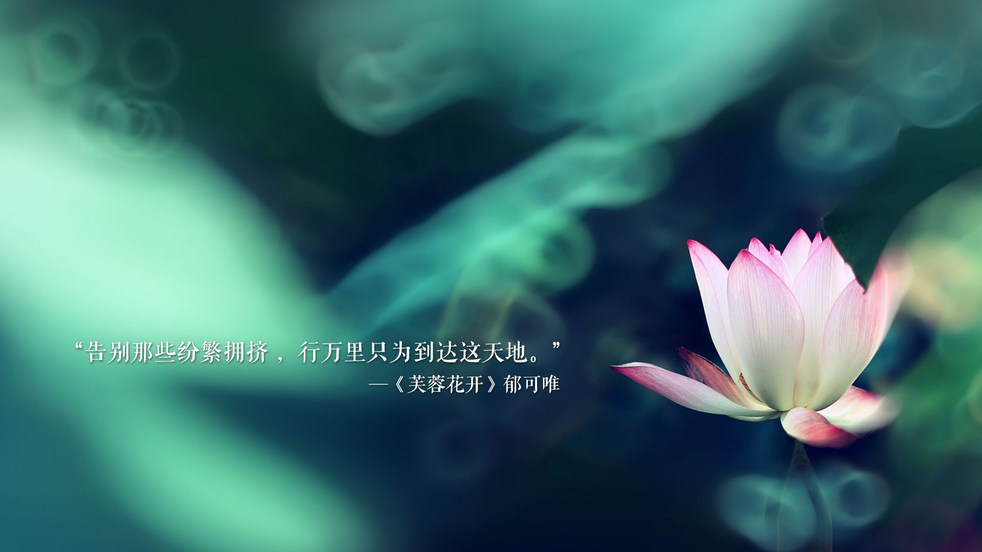 铁幕下的利刃，2026世界杯H组，法国如何用最不法国的方式，由布罗佐维奇书写唯一剧本