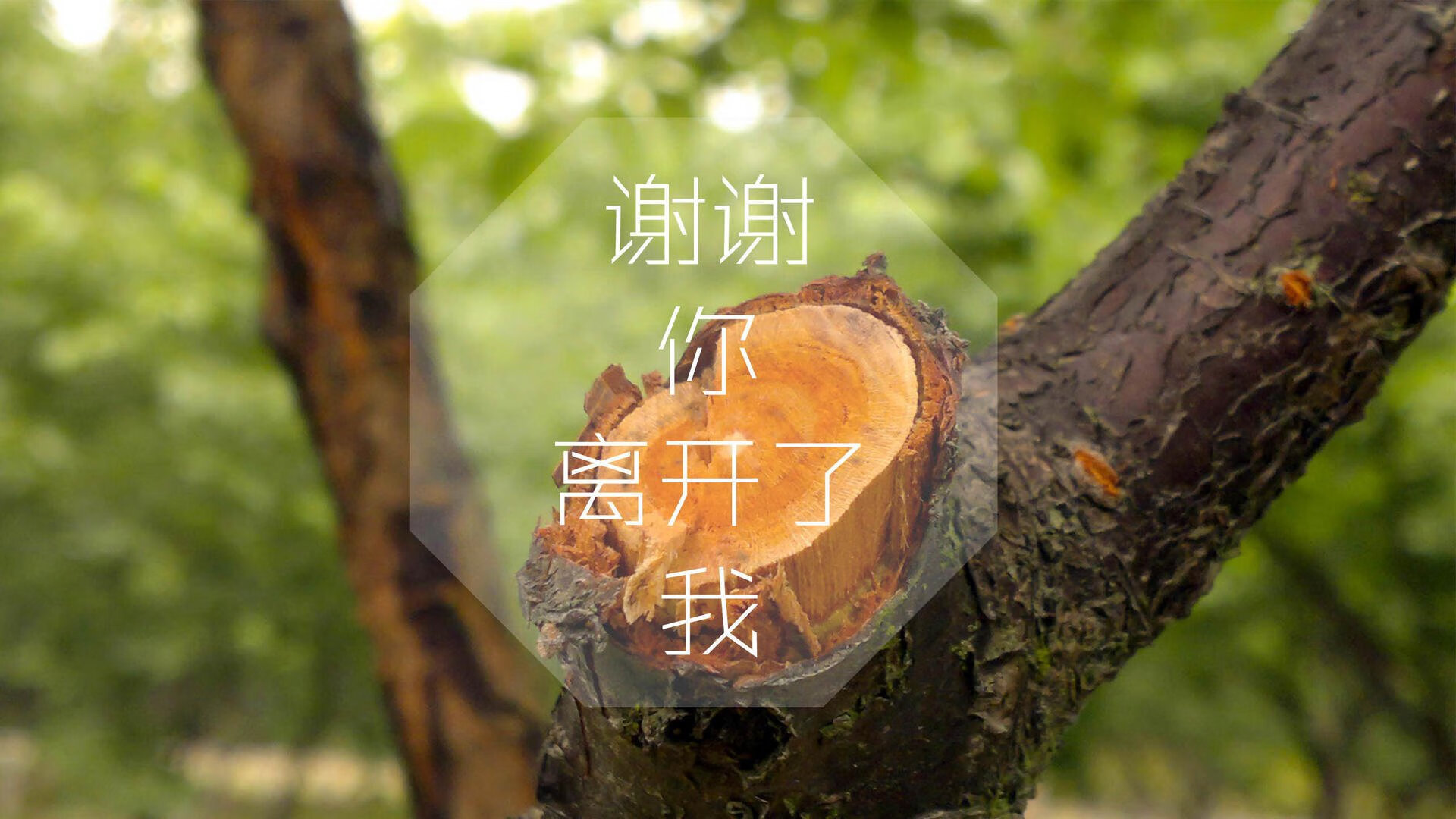 铁幕下的闪电，当德国战车碾过迦太基，吉鲁用一记无解终结定义永恒