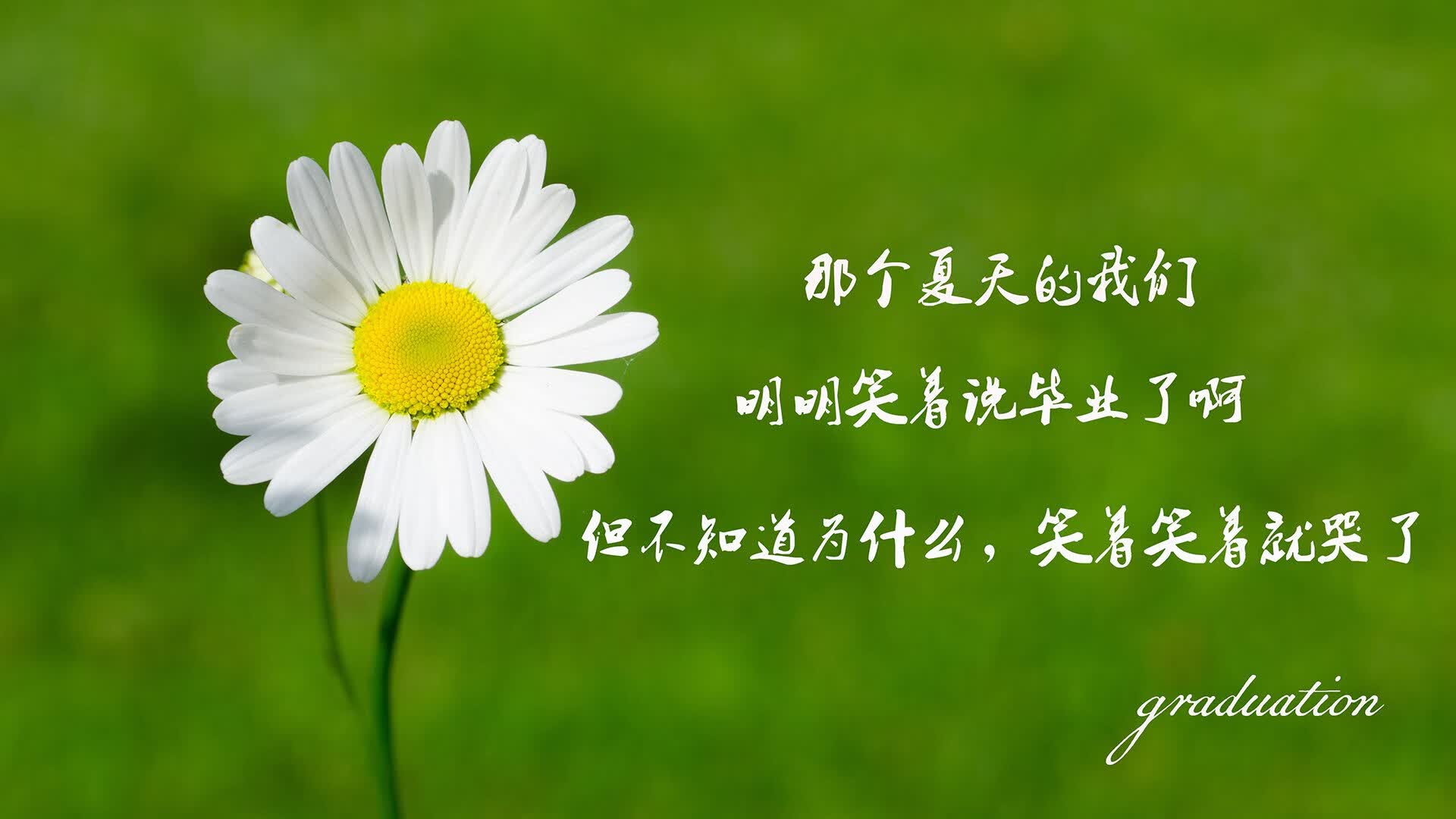 窒息式唯一性，布罗佐维奇织就北非铁幕，摩洛哥全场碾压日本演绎2026世界杯经典压制