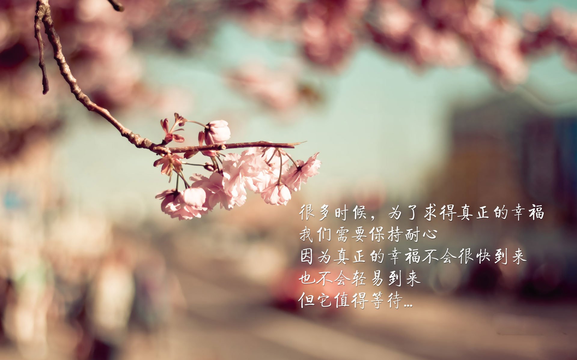 魔兽转身，卢卡库的临场魔术—2026世界杯D组西班牙2-1德国战术复盘